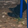В Киеве на детской площадке обнаружили труп (видео)