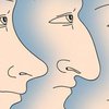 Что форма носа может рассказать о характере человека