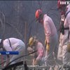 Пожежі в Каліфорнії: зросла кількість жертв