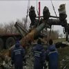 Авіакатастрофа MH17: родичі загиблих звинуватили Росію у саботажі