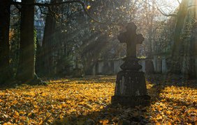 В Харькове священник на джипе "разгромил" кладбище (видео)