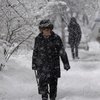 В Украину идут метели и сильные морозы