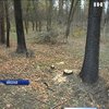 Екологічний вандалізм: хто знищує ліс на околицях Миколаєва?