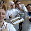 В Украине создали лакомство из насекомых (фото)