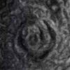 В NASA показали фантастические бури на Юпитере (фото)
