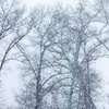 Снегопады и шторм: синоптик шокировали прогнозом до конца недели