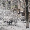 В Киеве педофил напал на пятиклассницу 