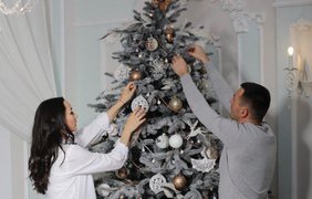 Новогодние приметы 2019: чем нельзя украшать елку на Новый год 