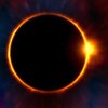 В NASA опубликовали невероятный снимок Солнца 