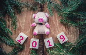 Новый год 2019: какие неприятности готовит нам Желтая Свинья 