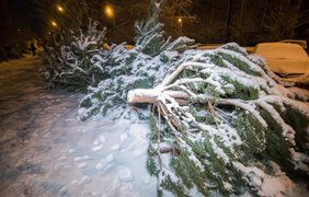 Фото: Дмитрий Щерблюк