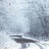 Украина в снежном плену: какой погоды ждать 27 декабря 