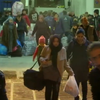 Дипломати Німеччини продавали візи сирійським біженцям