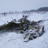 Авиакатастрофа в России: нашли запись последнего полета