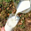 Плюсы и минусы молока: 7 популярных мифов 