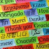 Международный день родного языка: история праздника 