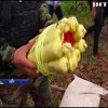 У Перу вибухівкою знищують злітно-посадкові смуги наркоторговців (відео)