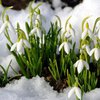 Погода на 1 марта: каким будет первый день весны
