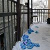 В Одессе обезглавили девушку: страшные детали трагедии 