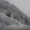 На Закарпатье из-за сильного снегопада обесточены 19 сел 