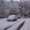 Непогода в Украине: во Львове начался снежный "апокалипсис" (фото)