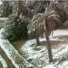 Пустыню Сахара замело снегом (фото) 