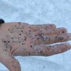 В России прошел "черный" снегопад 