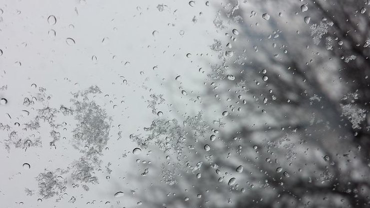 На территории Украины преимущественно дождь и мокрый снег