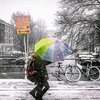 Яркий и заснеженный: Амстердам "укутал" пушистый снег (фото)