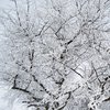 Погода в Украине: страна останется во власти снегопадов 