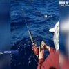 Австралійська пенсіонерка виловила гігантську рибину (відео)