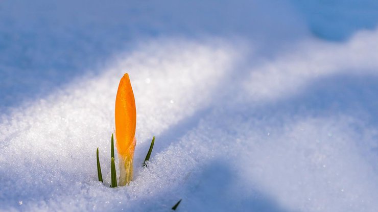 Погода на 15 марта: в Украину возвращается зима 