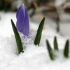 Погода на 19 марта: зима не покинет Украину