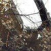 В Киеве на Оболони затопило дорогу (фото, видео)