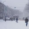 Крым замело снегом (фото)