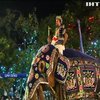 У столиці Шри-Ланки провели парад слонів (відео)