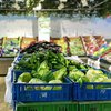 В Украине резко подорожали овощи и мясо