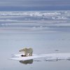 Европа и Арктика поменялись климатом - ученые