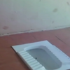У школі Кропивницького протестують проти жахливих вбиралень (відео)