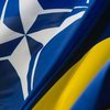 Вступление в НАТО: Украина выполнила программу сотрудничества