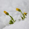 Погода на 5 марта: из Украины уходят холода 