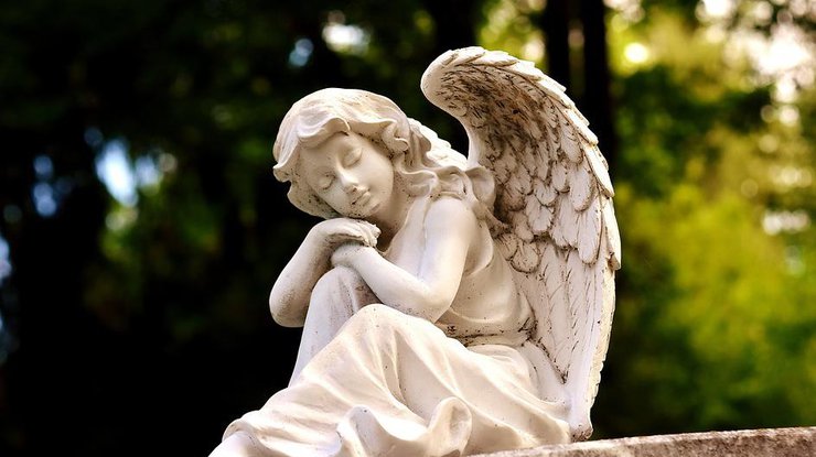 Читать онлайн «Мой любимый ангел-хранитель», Надежда asedoka – Литрес