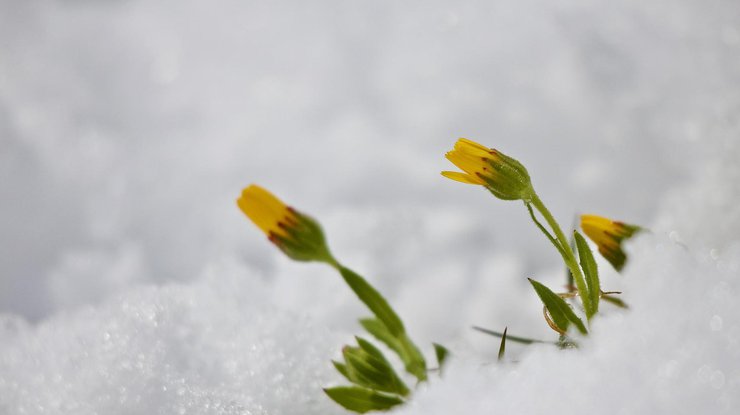 Погода на 5 марта: из Украины отступают холода 