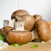 Кому и почему нельзя употреблять грибы: ответ медиков