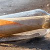 В океане нашли старейшее в мире послание в бутылке
