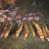Браконьеры выловили на Азове 16 рыб стоимостью миллион гривен (видео)