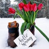 Погода на 7 марта: в Украину придет весна 