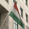 В МИД отреагировали на заявление об автономии венгров Закарпатья