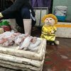 Сказочный кот стал продавцом на рыбном рынке