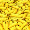 Кому нельзя есть бананы: ответ врачей 